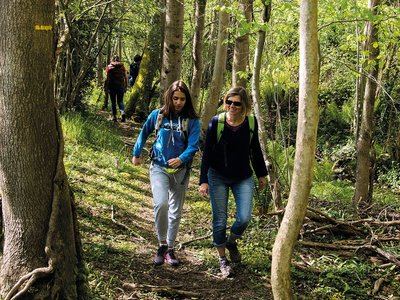 Ouillon : chemin des bergers