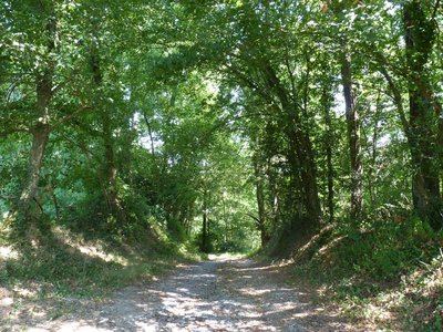 Astis : les Barthouils