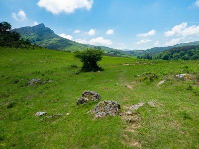 Circuit des palombières / Usategietako itzulia - Trail
