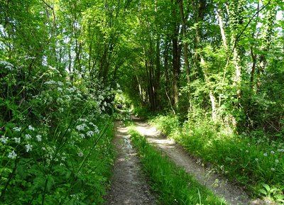 Marchemaisons - Aunay-les-Bois - Randonnée à pied