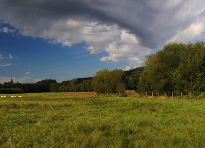 La Butte du Château - Randonnée à pied dans le Perche