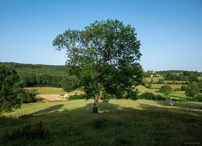 La Corbonasière - Randonnée à pied dans le Perche Ornais