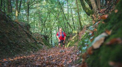 28 Dans les chemins creux de Montilly - Suisse Normande Trail