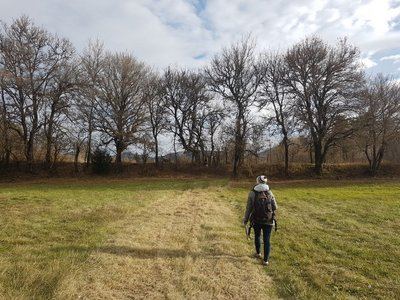 COMPS-SUR-ARTUBY -  Sentier des Prés de Laure