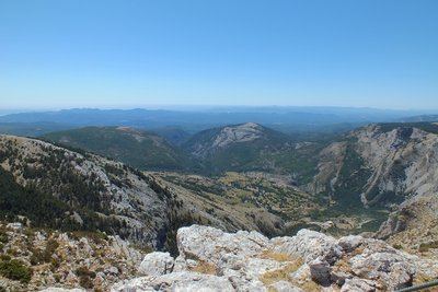 CAILLE - Montagne de l'Audibergue