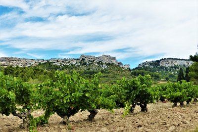 LES BAUX-DE-PROVENCE - Les crêtes de Baumayrane