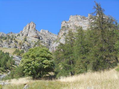 SAINT-CLÉMENT - Les Cabanes du Vallon du Couleau