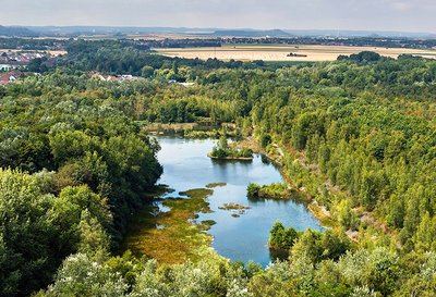 Sentier des Accacias