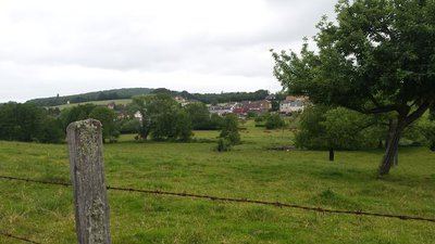 La petite forêt