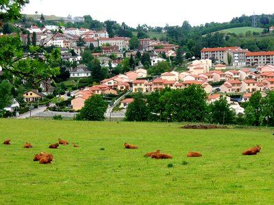Sport et nature - Saint-Jean-Bonnefonds n° 2