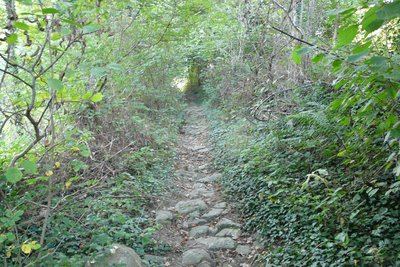 Le Chemin des Crouzes - Pavezin n° 3