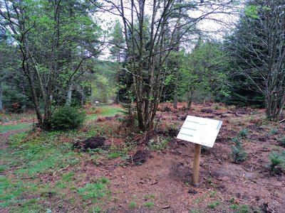 Les Vernels - Sentier d'interprétation