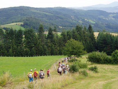 Sentier du Bois Grézé - Graix n° 3