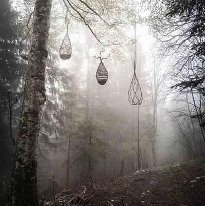 Les yeux Miroflées, celui qui cherche à voir