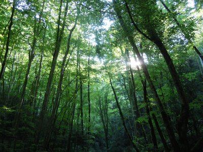 Sur les traces des Huguenots